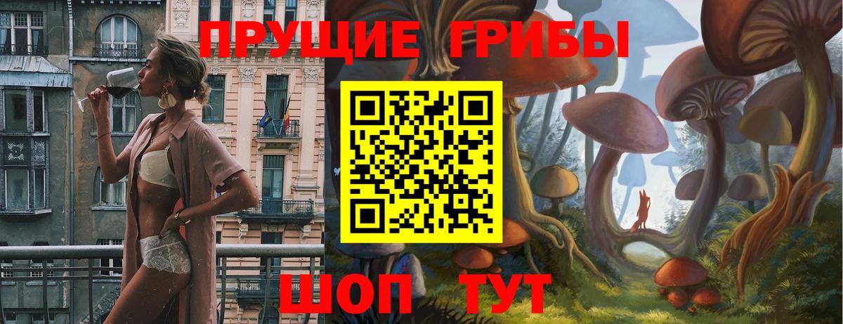 продажа наркотиков  Псилоцибиновые грибы Magic Shrooms  Вход с VPN  Псилоцибиновые грибы Magic Shrooms  Горячий Ключ 
